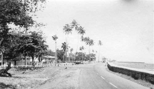 Img013 (Medium) (Large)